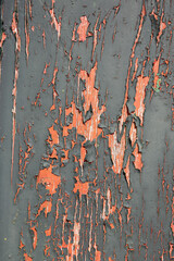Dark green Peeling paint background texture. Wooden door with weathered and peeling paint