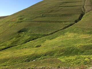 Obraz premium green grass and hills