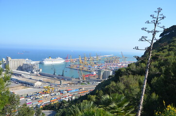 Spectacular view from a hill to a port with cranes and ships.
