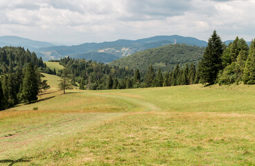 landscape in the mountains