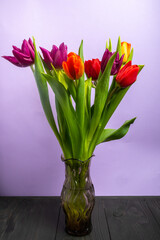 Fototapeta premium a large bouquet of colorful tulips in a vase on a purple background