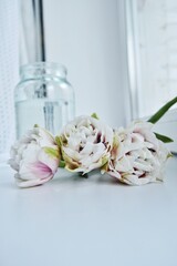 The tulip is the personification of modesty and pride. This is a beauty that does not shout out loud, but knows its own worth.
The tightly compressed buds seem to hold some secret, and their fragrance