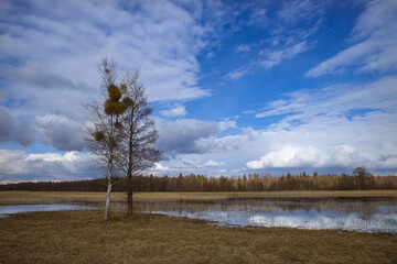 Early spring landscape with a blue sky covered with clouds.