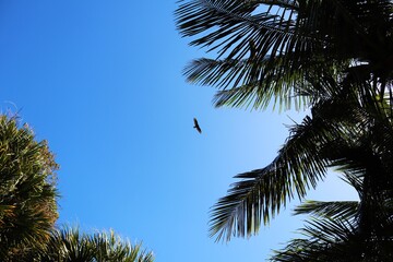 Key Biscayne - FL
By Rio