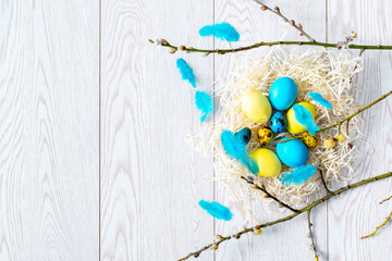 colorful yellow and blue chicken and quail easter eggs and feathers in nest with willow branches, spring, easter concept