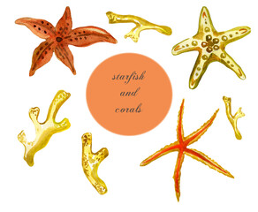 watercolor collection of starfish and corals