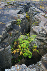 Grjotagja volcanic landscape in Iceland, Europe