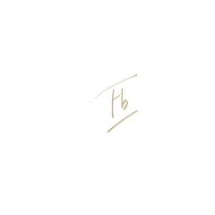 Fb handwritten logo for identity