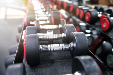 Dumbbells on a rack