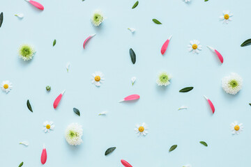 Flowers pattern background. Flowers, petals and leaves on light blue background.