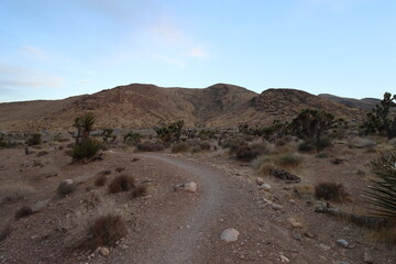 landscape in the desert