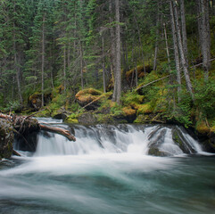 Cascading Water in the Wilderness