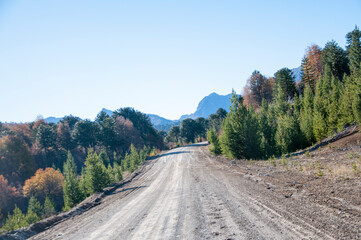 Camino de montaña