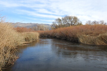 The beautiful scenery of the Owens River in the Owens Valley, Inyo County, California.