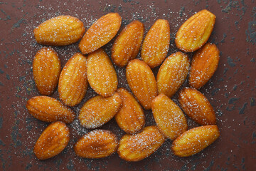 Classic madeleines closeup