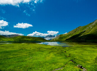 Una pradera de alta montaña que rodea una laguna glaciar en los Pirineos españoles