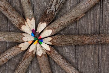 untreated wood crayons with tree bark on a wooden board in a circle with many different colors like...