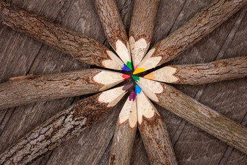 wooden crayons untreated with real tree bark on a wooden board arranged in a circle with different colors for students, artists and nature lovers