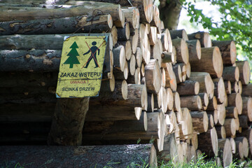 ścinka drzew w lesie, tablica ostrzegawcza