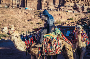 Local guide riding camels in Petra historic and archaeological city, Jordan