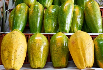 Selection of organic papayas on display at the market stall. known as papayón, olocotón, papayo, mamón, milky, lechoza. Scientific name carica papaya. 