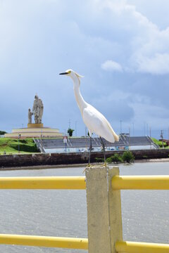 S&atilde;o Jos&eacute; de Ribamar
