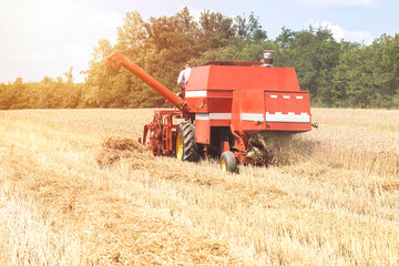 Back side of red combaine harvester during working in the ripe wheat fild in the summer.Combine...