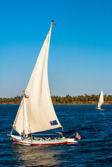 Feluccas are the traditional sailing ships that trade on the River Nile. The boats criss-cross the River Nile taking people and goods from one side to the other. 