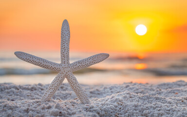 Fototapeta na wymiar Starfish on the beach sand. Spring break or Summer vacations. Ocean Coast or shore Gulf of Mexico. Florida paradise. Tropical nature. Beautiful ocean sunset. Good for travel agency. Copy space.
