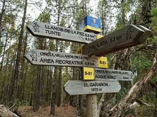 signpost in the park