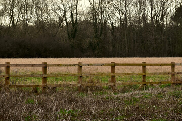 Fototapeta premium Wooden fence in the field, Solihull, England 