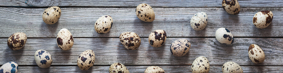 Quail eggs on old gray wooden background, wide banner size