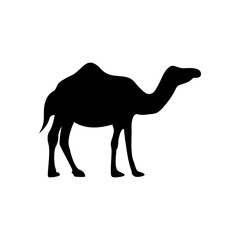 Camel icon design template vector illustration