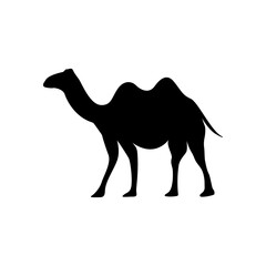 Camel icon design template vector illustration