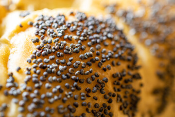 Whole wheat bread. Fresh loaf of rustic traditional bread with wheat poppy seeds in pattern of macro photography. Rye bakery with crusty loaves and crumbs. Homemade baking.