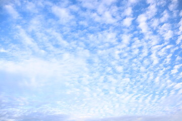 Naklejka na ściany i meble blue sky background with bumpy clouds