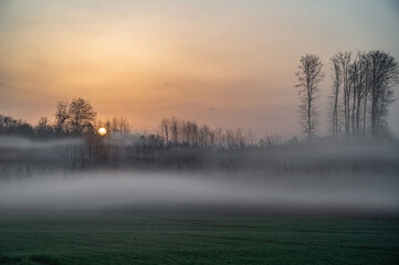 foggy beautiful  sunrise on a cold morning 