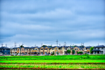 田んぼと住宅地