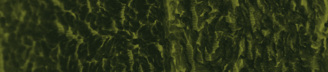 abstract black and dark green colors background for design