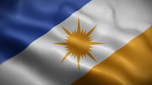 Tocantins Flag Loop Background 4K