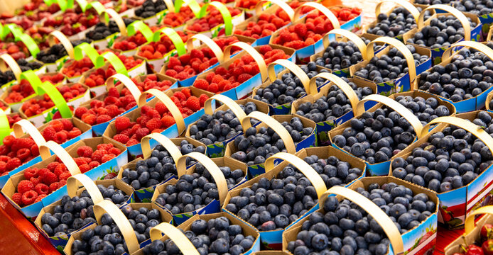 abondance de paniers de bleuets et framboises avec poign&eacute;e produit de fin de saison