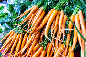 Pile de carottes attachées en portion au marché local en fin de saison