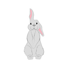 Rabbit little bunny cute animal vector illustration