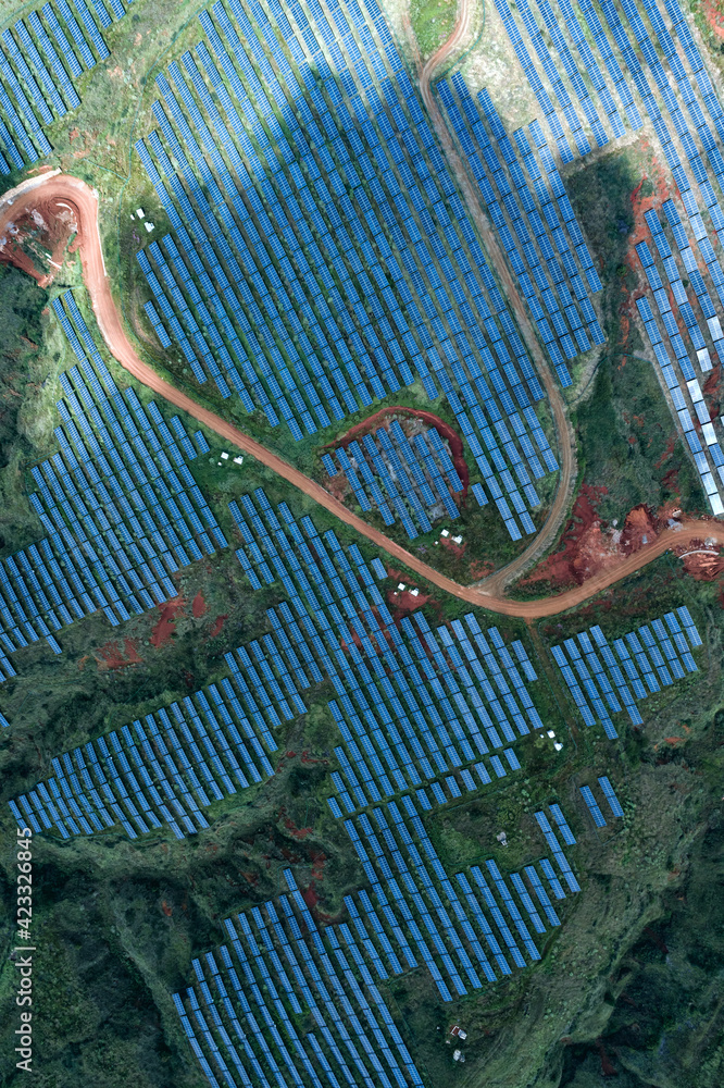 Wall mural Aerial Photography of a Photovoltaic Power Plant on Lush Hillside