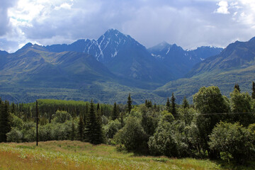 Fototapeta na wymiar Alaskan landscape along the side of a road