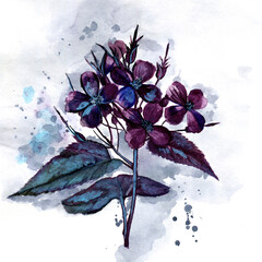 watercolor background with watercolor flowers