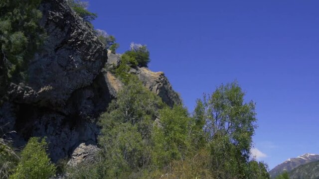Flora patag&oacute;nica al filo de una pared rocosa con un cielo nuboso
