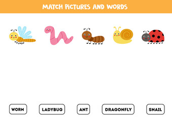 Match cute insects and their names. Game for kids.