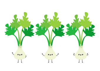 Coriander character design. Coriander cartoon vector on white background.