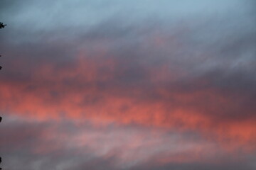 Haze Of Colour In The Sky, Edmonton, Alberta